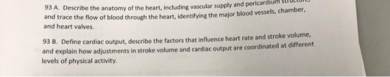 93 A. Describe the anatomy of the heart, including vascular supply and pericardium stractr and trace the flow of blood throug
