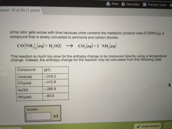 Image for Urine odor gets worse with time because urine contains the metabolic product urea compound that is slowly conv