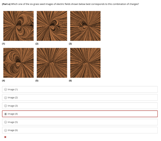(Part a) Which one of the six grass seed images of electric fields shown below best corresponds to this combination of charge