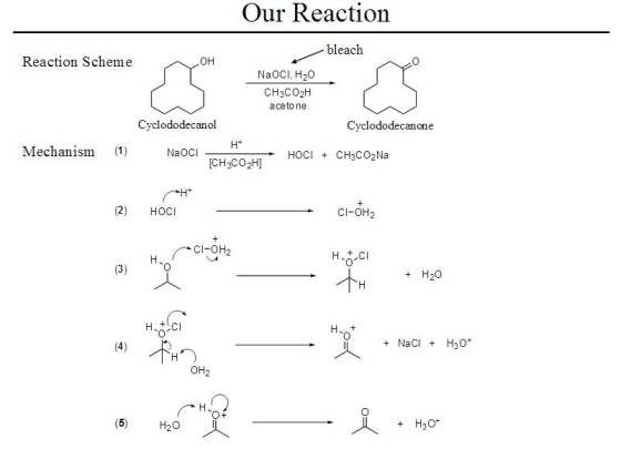 Our Reaction bleach Reaction Scheme он NaOCI, H20 CH3CO2H aceto ne Cyclododecanol Cyclododecanone Mechanism (1) [CH3CO2H] (2)