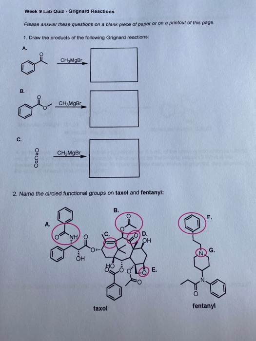 Week 9 Lab Quiz - Grignard Reactions Please answer these questions on a blank piece of paper or on a printout of this page. 1