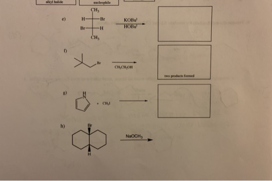 alkyl halide nucleophile CH, e) H Br KOBu HOBu Br Н CH Br CH,CH,OH two products formed 8 + CHI h) Br NaOCH H