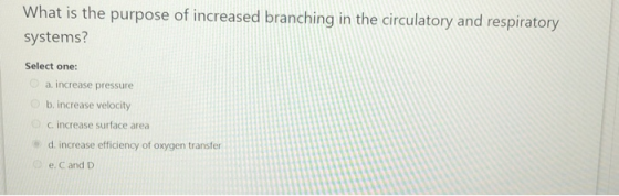 What is the purpose of increased branching in the circulatory and respiratory systems? Select one: a. increase pressure b. in