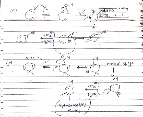 JORGE NO. DATE: 1 - ya - - 134 Dimethyl phenol