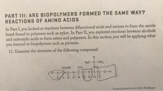 PART III: ARE BIOPOLYMERS FORMED THE SAME WAY? REACTIONS OF AMINO ACIDS In Part I, you looked at reactions between difunction