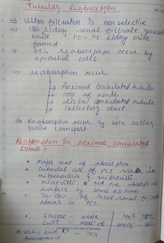 WK -29 LIL . & 10 Tubular Reabsorphion ultra filtration is non selective - 100 ll day renal filtrate generate While 10- 115 e