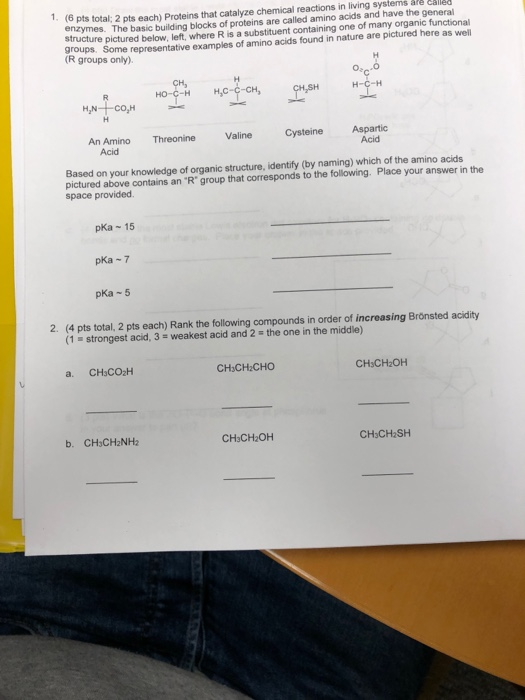 (6 pts total: 2 pts each) Proteins that catalyze chemical reactions in living systems are called enzymes. The basic building