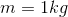 m=1kg