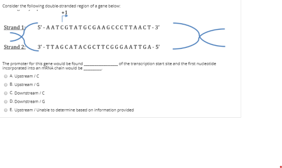 Consider the following double-stranded region of a gene below: Strand 17 5- AATCGTATGCGAAGCCCTTAACT-3 Strand 2. 3-TTAGCATA