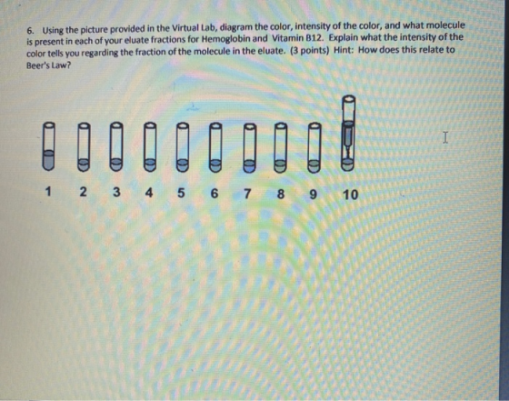 6. Using the picture provided in the Virtual Lab, diagram the color, intensity of the color, and what molecule is present in