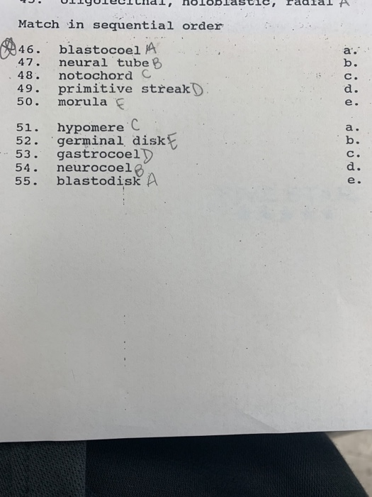 Match in sequential order 46. blastocoel A 47. neural tube 48. notochord C 49. primitive streak 50. morula a. e- 51 hypomere
