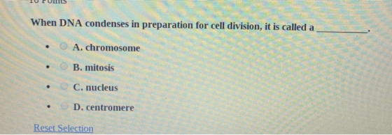 10 PUNTS When DNA condenses in preparation for cell division, it is called a O A. chromosome B. mitosis C. nucleus D. centrom
