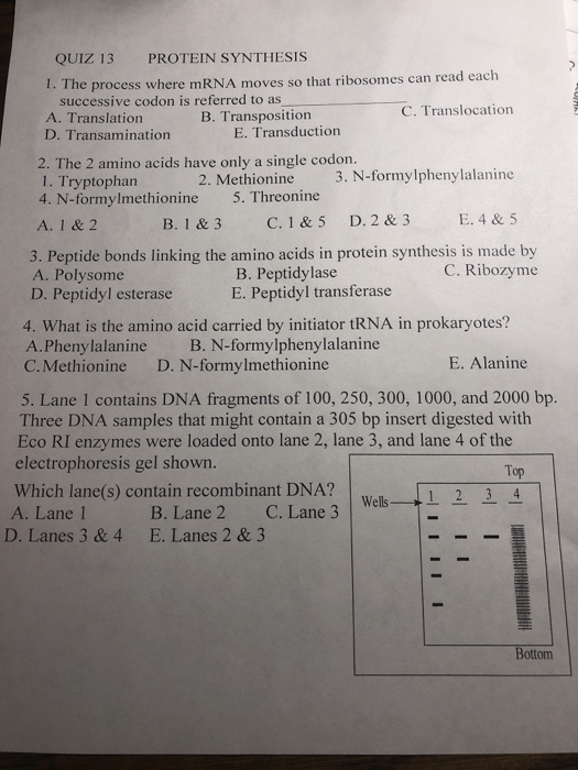 QUIZ 13 PROTEIN SYNTHESIS 1. The process where mRNA moves so that ribosomes can read each successive codon is referred to as