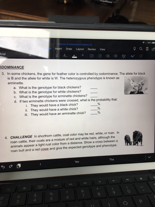 86% Patterns of inheritance Problems (21 Insert Draw Layout Review View UA. AETA Arial DOMINANCE 3. In some chickens, the gen