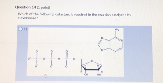Question 14 (1 point) Which of the following cofactors is required in the reaction catalyzed by Hexokinase?