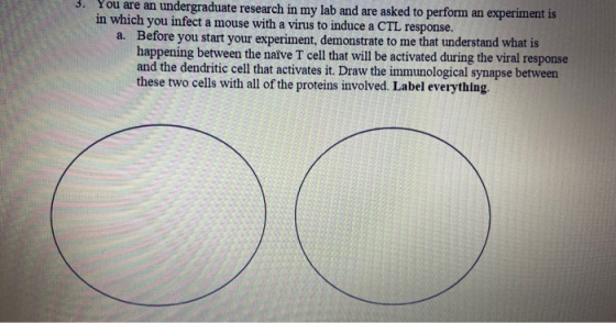 3. You are an undergraduate research in my lab and are asked to perform an experiment is in which you infect a mouse with a v