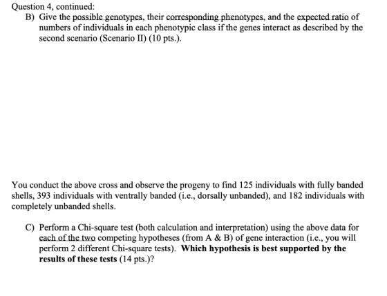 Question 4, continued: B) Give the possible genotypes, their corresponding phenotypes, and the expected ratio of numbers of i