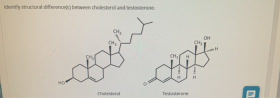 Identify structural difference(s) between cholesterol and testosterone. OH CH CH . CH CH3 ** HO Cholesterol Testosterone I.