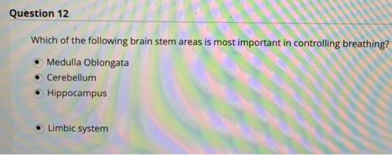 Question 12 Which of the following brain stem areas is most important in controlling breathing? Medulla Oblongata Cerebellum Hippocampus Limbic system