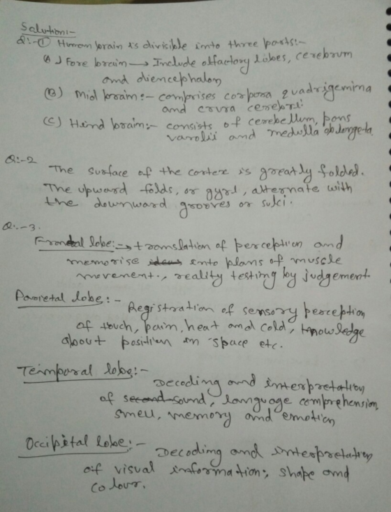 ond dience m-comprises co porsa 2vademima ons 8:-2 The susface af the corteres eat Soldes ve mevnemise 0-p, γ n vseke recen