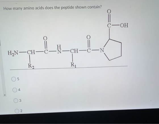How many amino acids does the peptide shown contain? —ОН Η H2N-CH—CN—CH—C—N -N- R2 R 5 4 N