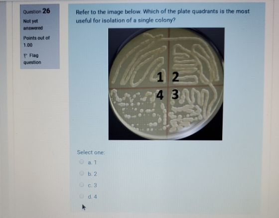 Question 26 Refer to the image below. Which of the plate quadrants is the most useful for isolation of a single colony? Not y