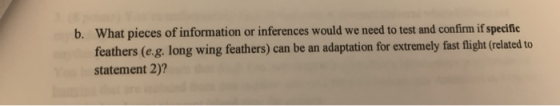 b. What pieces of information or inferences would we need to test and confirm if specific feathers (e.g, long wing feathers)