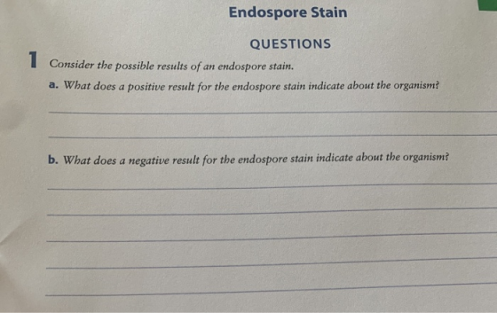 Endospore Stain QUESTIONS Consider the possible results of an endospore stain. a. What does a positive result for the endospo
