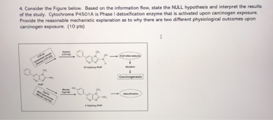 4. Consider the Figure below. Based on the information flow, state the NULL hypothesis and interpret the results of the study