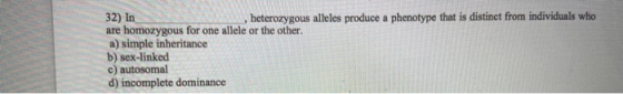 32) In heterozygous alleles produce a phenotype that is distinct from individuals who are homozygous for one allele or the ot