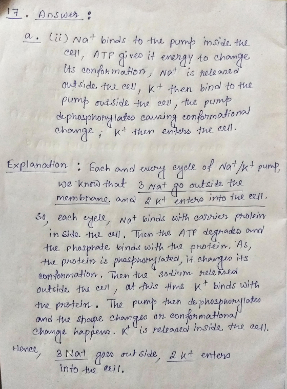 17. Answer: a. lii) Nat binds to the pump inside the cell, ATP gives it energy to change its conformation, Nat is released ou