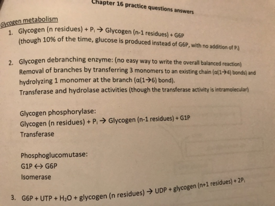 Chapter 16 practice questions answers Glycogen metabolism 1. Glycogen in residues) + P; → Glyco (though 10% of the time resid