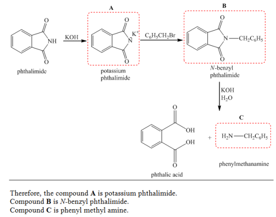 K CCH2Br KOH N-benzyl phthalimide phthalimide potassiunm phthalimide KOH но он phenylmethanamine phthalic acid Therefore, the