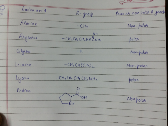Page mino acid non polah R gaoup Polah up Alanin e Non-pdah -CH3 NH NHCNH2 nainne Non-polar nlucine - CH2 CH (CH3)2 Non-polan