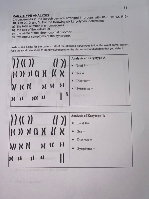 KARYOTYPE ANALYSIS Chromosomes in the karyotypes are arranged in groups with #1-5, #6-12, #13- 18, #19-22, X and Y. For the f