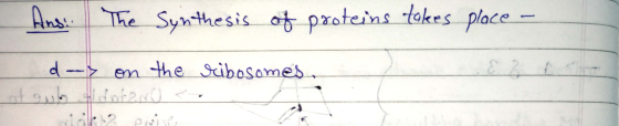 The Synthesis of proteins takes place - -> on the ribosomes