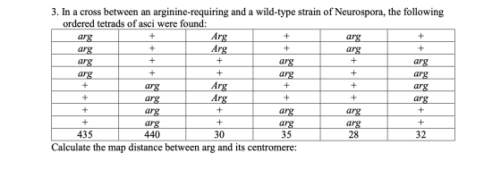 + + arg + + + + + 3. In a cross between an arginine-requiring and a wild-type strain of Neurospora, the following ordered tet