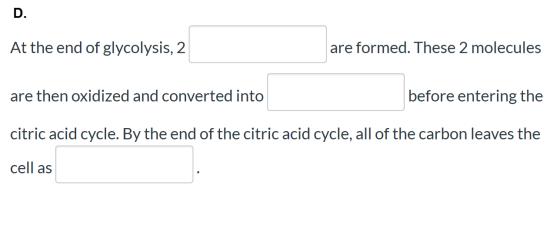 D. At the end of glycolysis, 2 are formed. These 2 molecules are then oxidized and converted into before entering the citric