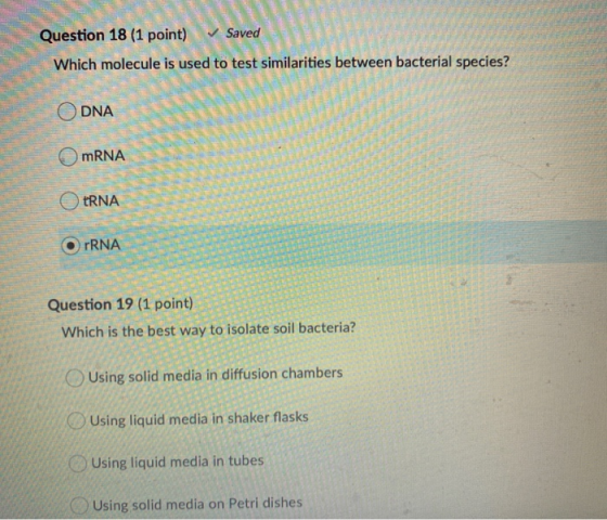 . Question 18 (1 point) Which molecule is used to test similarities between bacterial species? ajili ODNA mRNA ORNA OrRNA Que