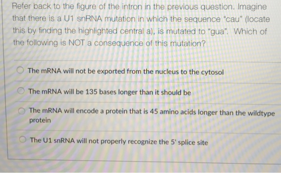 Refer back to the figure of the intron in the previous question. Imagine that there is a U1 snRNA mutation in which the sequence cau (locate this by finding the highlighted central a), is mutated to gua. Which of the following is NOT a consequence of this mutation? O The mRNA will not be exported from the nucleus to the cytosol The mRNA will be 135 bases longer than it should be O The mRNA will encode a protein that is 45 amino acids longer than the wildtype protein The U1 snRNA will not properly recognize the 5 splice site