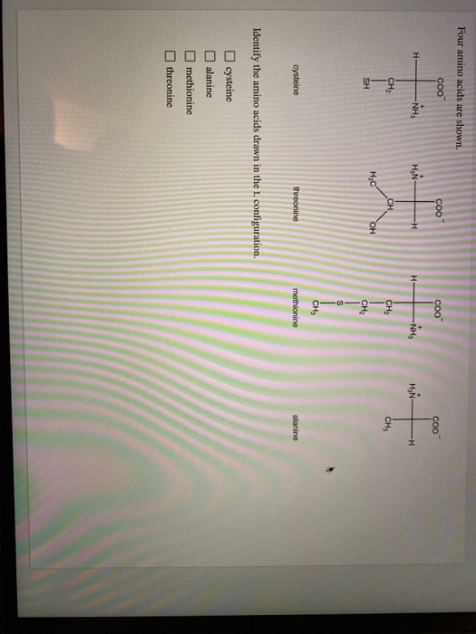 Four amino acids are shown. coo COO HNH F сн. cysteine ethionine alanine Identify the amino acids drawn in the L configuratio