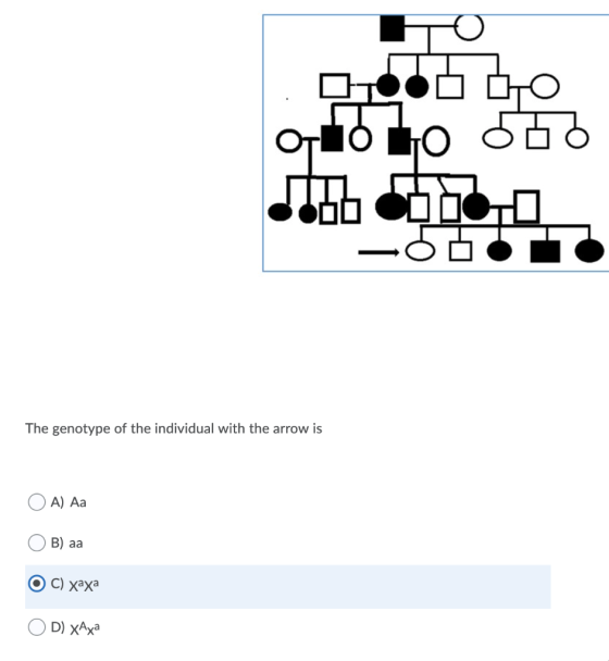 Orto to S OCHO - The genotype of the individual with the arrow is A) Aa B) aa c) xaxa D) xAxa