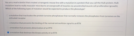 You are a mad scientist that created a transgenic mouse line with a mutation in a protein that you call the Hulk protein. Hul