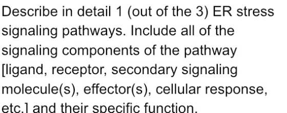 Describe in detail 1 (out of the 3) ER stress signaling pathways. Include all of the signaling components of the pathway [lig