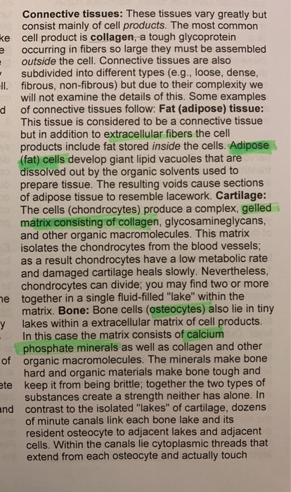 Connective tissues: These tissues vary greatly but consist mainly of cell products. The most common ke cell product is collag