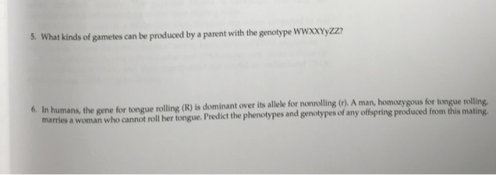 5. What kinds of gametes can be produced by a parent with the genotype wWxXYyzz 6. In humans, the gene for tongue rolling (R) is dominant over is allel for nonrol lling (p). A man, homozygous for tongue rolling marries a woman who cannot roll her tongue. Predict the phenotypes and genotypes of any offspring produced from this mati