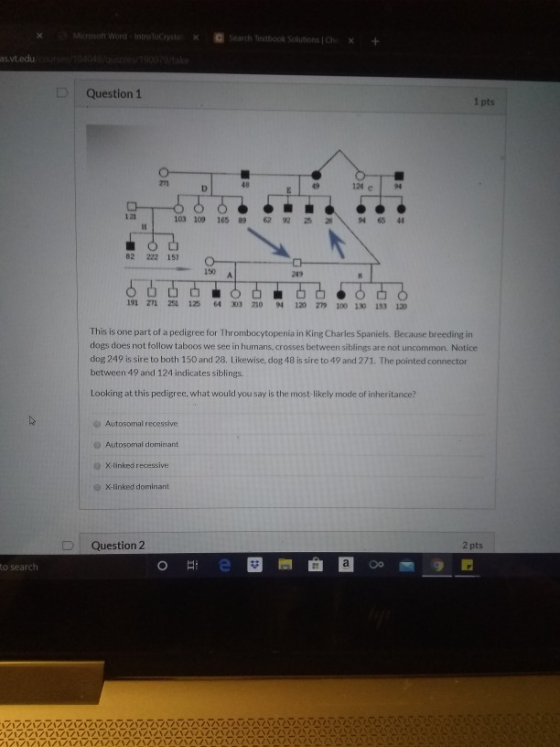 - Microson Word - introloCrystax a Search Textbook Solutions the x + is.vtedu can not auctor 1900 znako Question 1 1 pts OE 1