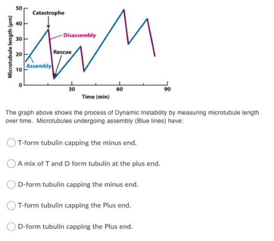Catastrophe LL Disassembly Microtubule length (um) Rescue embly Time (min) The graph above shows the process of Dynamic Insta