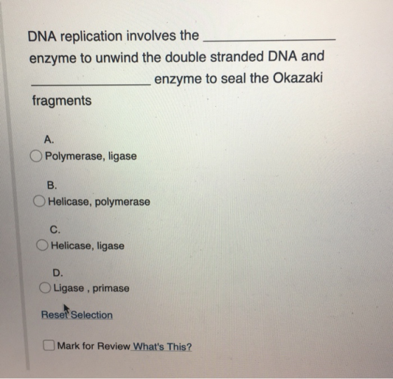 DNA replication involves the enzyme to unwind the double stranded DNA and enzyme to seal the Okazaki fragments O Polymerase,