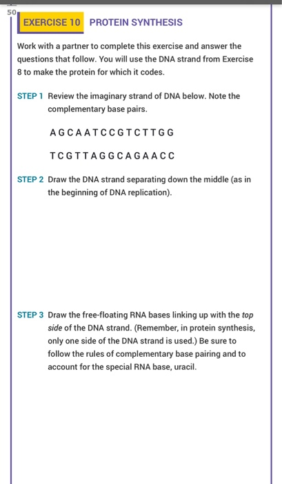 EXERCISE 10 PROTEIN SYNTHESIS Work with a partner to complete this exercise and answer the questions that follow. You will us